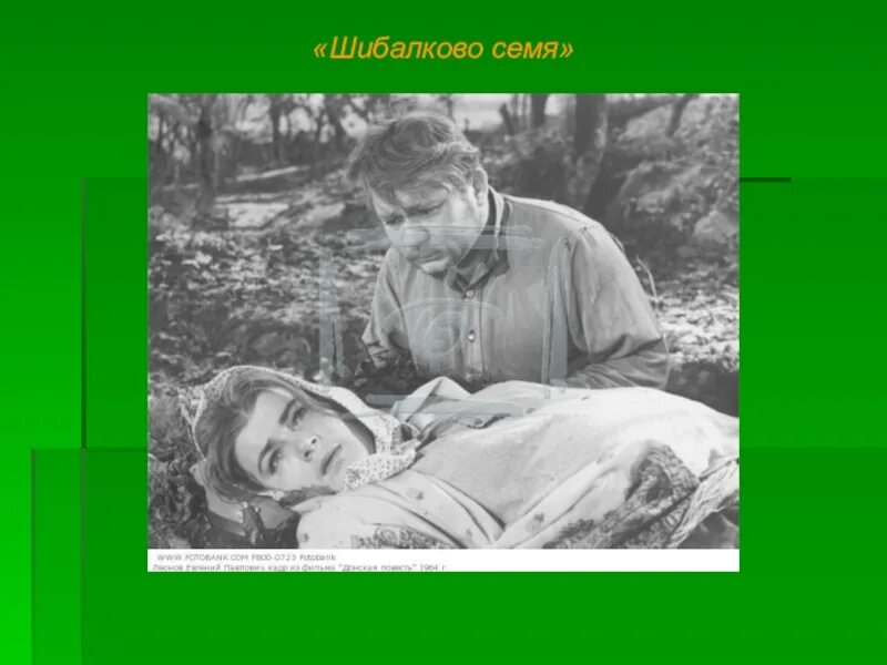 Шибалково семя Шолохов. Шолохов Шибалково семя иллюстрации. Шолохов Шибалково семя персонажи. Иллюстрация к произведению Шолохова Шибалково семя. Шолохов шибалково краткое содержание