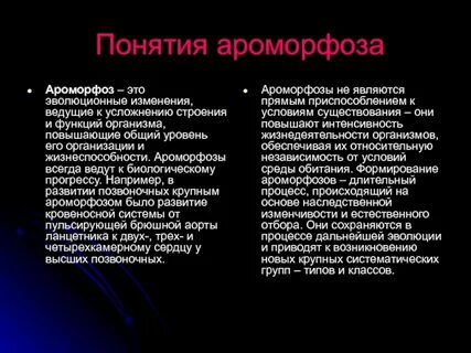 Ароморфозы нервной системы животных