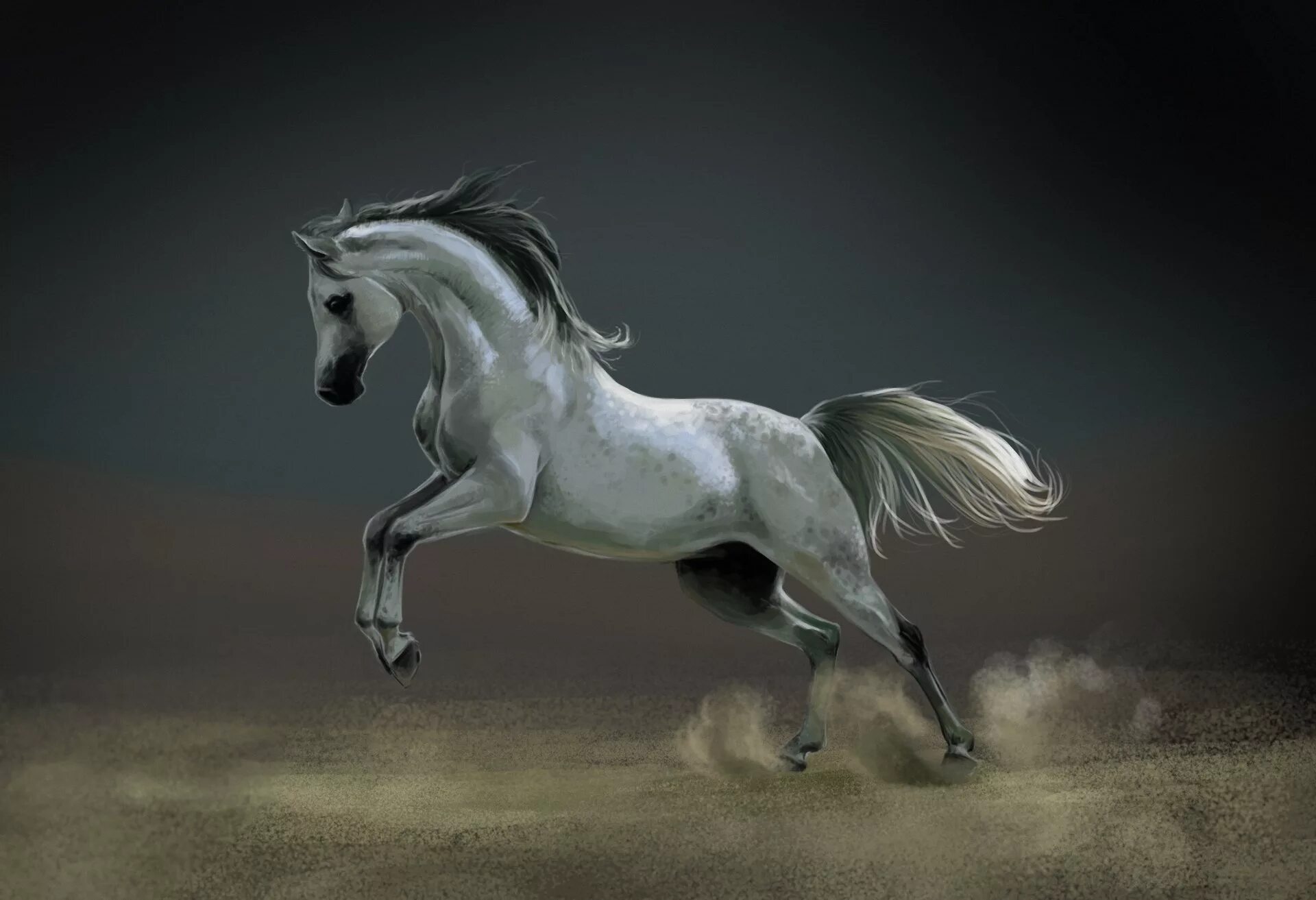 Черный конь скачет. Арты лошадей. Красивые лошади. Белая лошадь. Красивая белая лошадь.