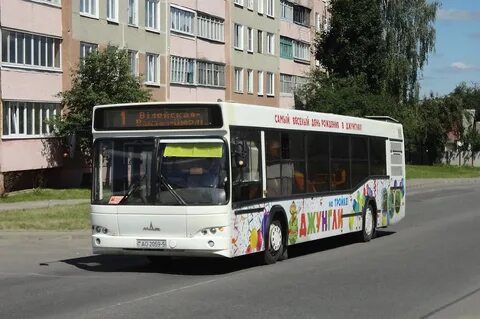 Автобусы молодечно