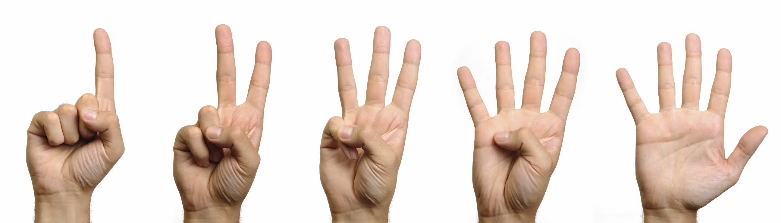 2.1 2. Первое палец. Пальцы 1 2 3 4 5. Один два три на пальцах. Жест четыре пальца.