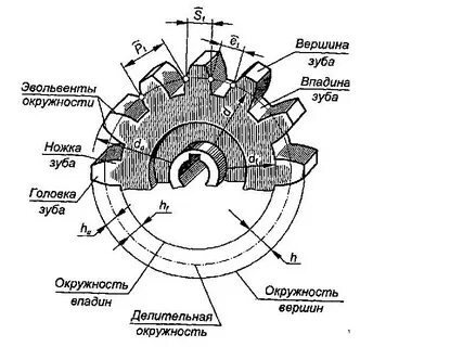 Зубчатое колесо название