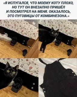 Он ни на шутку испугался