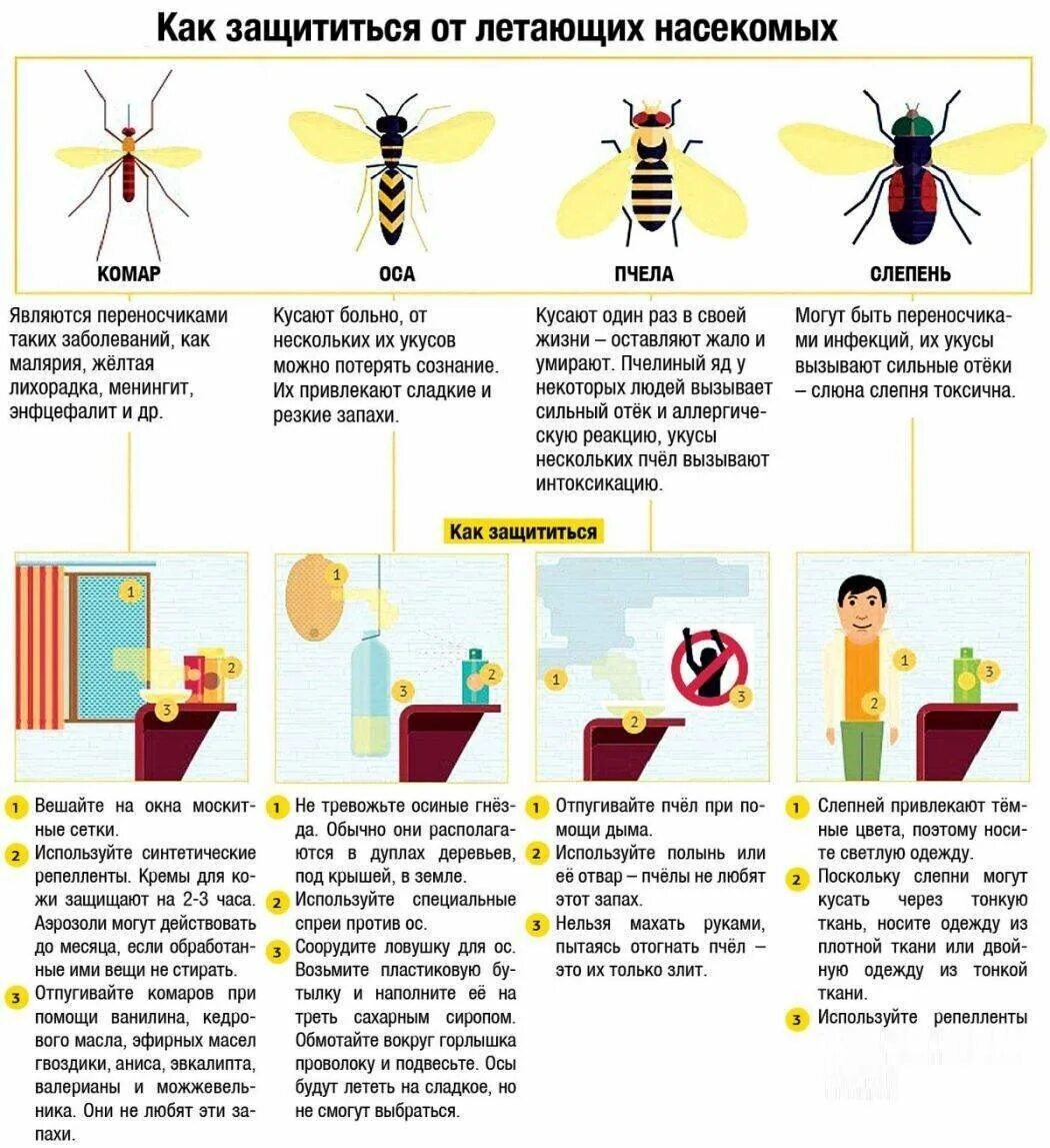 Укус осы первая помощь в домашних условиях. Памятка первая помощь при укусах насекомых. Памятка для родителей при укусах насекомых. Жалящие насекомые памятка для детей. Памятки укусы насекомых для детей.