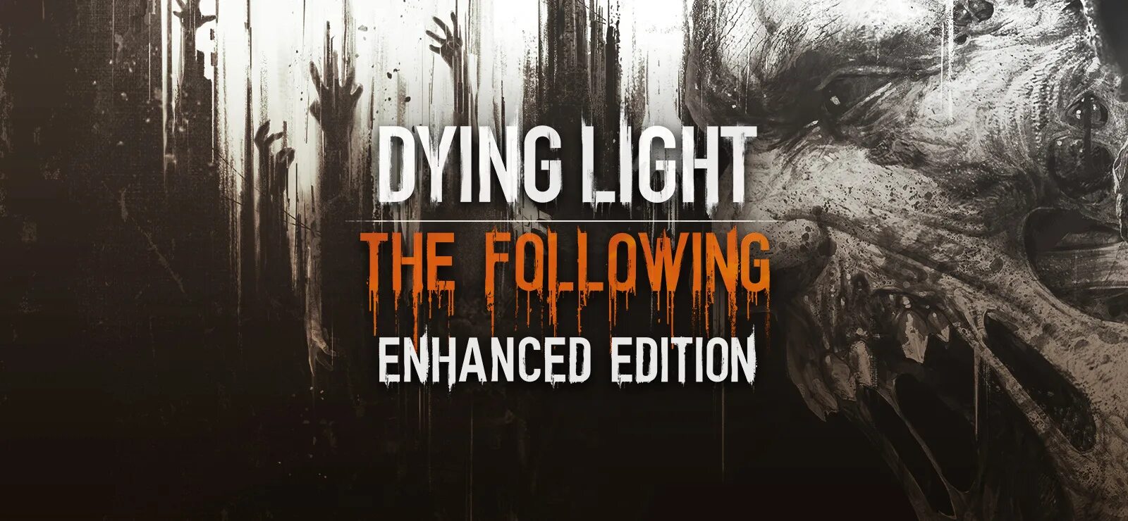 Dying Light обложка.