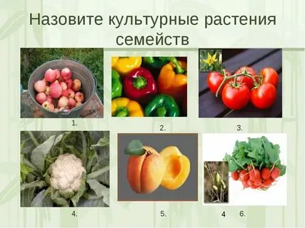 Примеры сортов любых