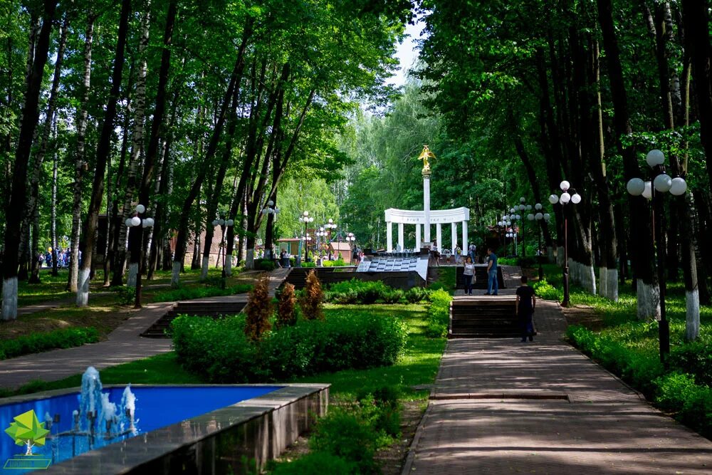Площадка березовая роща. Муп пкио березовая роща, новосибирск. парк березовая роща москва. пкио березовая роща храм новосибирск. парк березовая роща зеленодольск.