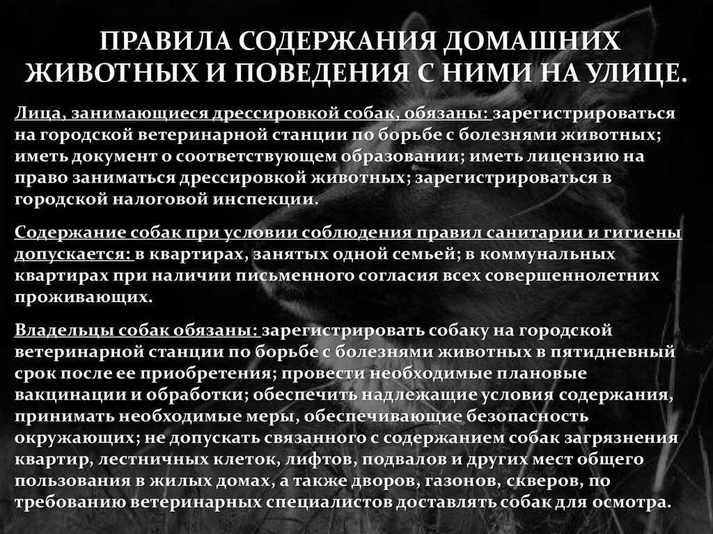 Содержание домашний. Правила содержания домашних животных. правила содержания домашних животных (собак). нарушение правил содержания домашних животных. правило содержание домашних животных.