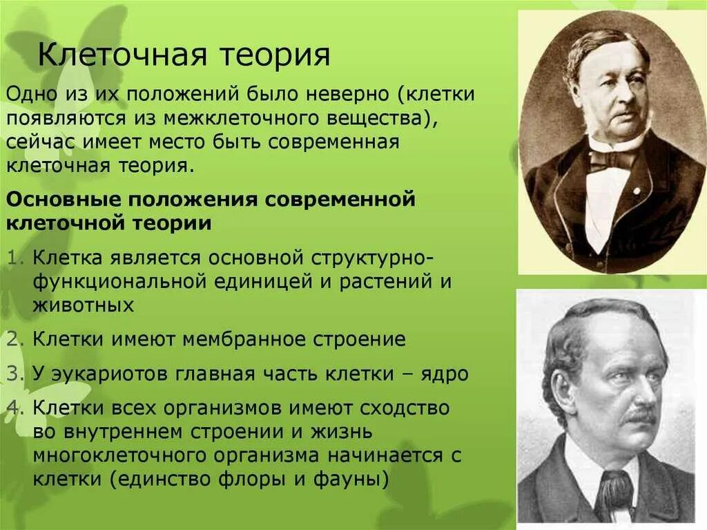 Клеточная теория строения организмов. Клеточная теория кратко 10 класс. Шлейден и Шванн биология. Биология 10 кл клеточная теория. Шлейден и Шванн клеточная теория год.