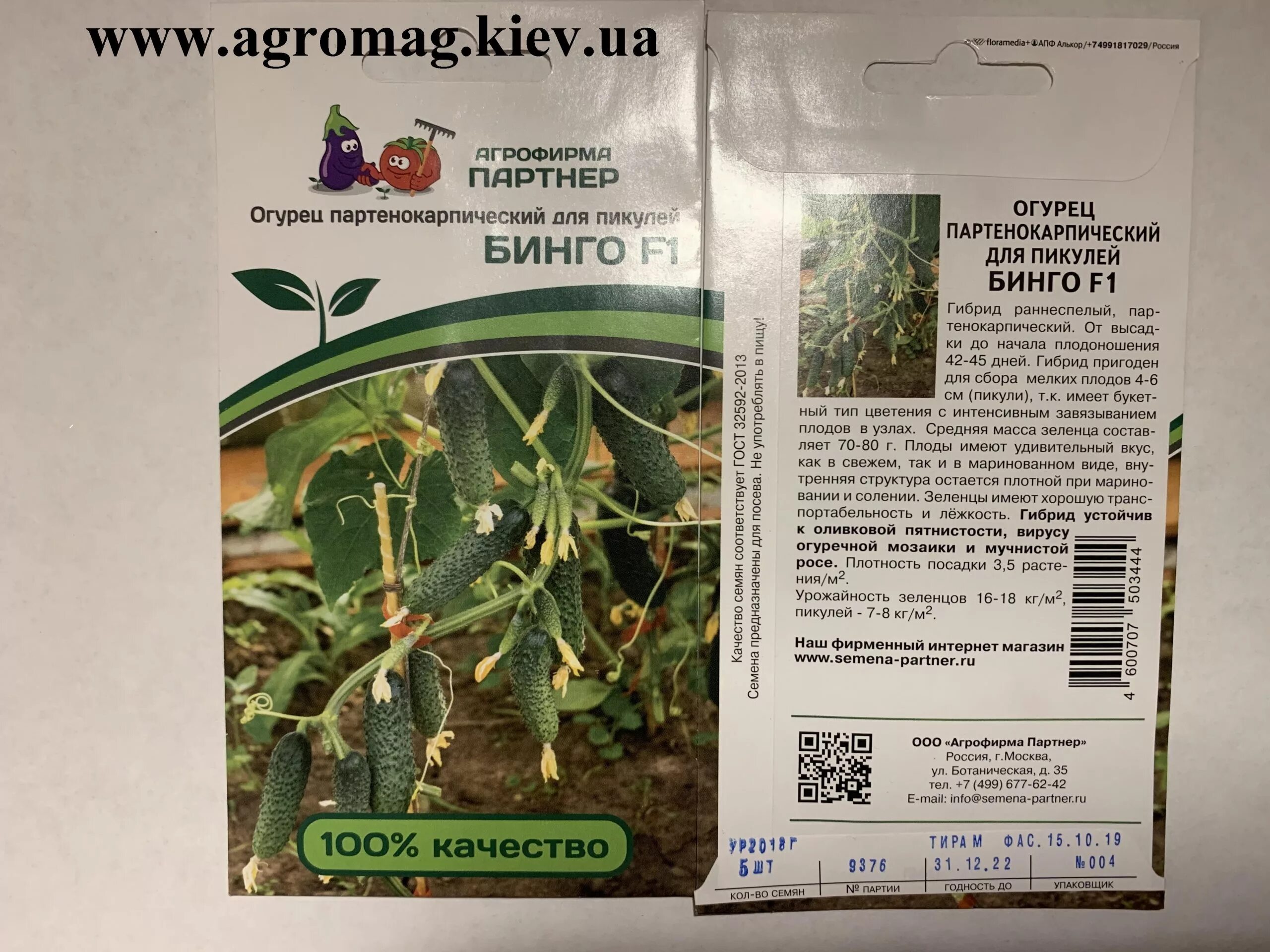огурцы бинго фирмы партнер. огурец партенокарпический бинго f1. описание сорта огурцов бинго. описание сорта огурцов бинго. сорт огурцов бинго.