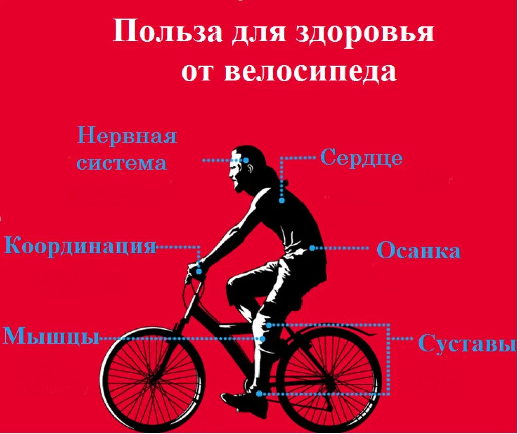 Вело дайте поспать. Велосипед и здоровье. Польза велосипеда. Полезность велосипеда. Влияние велосипеда на здоровье человека.