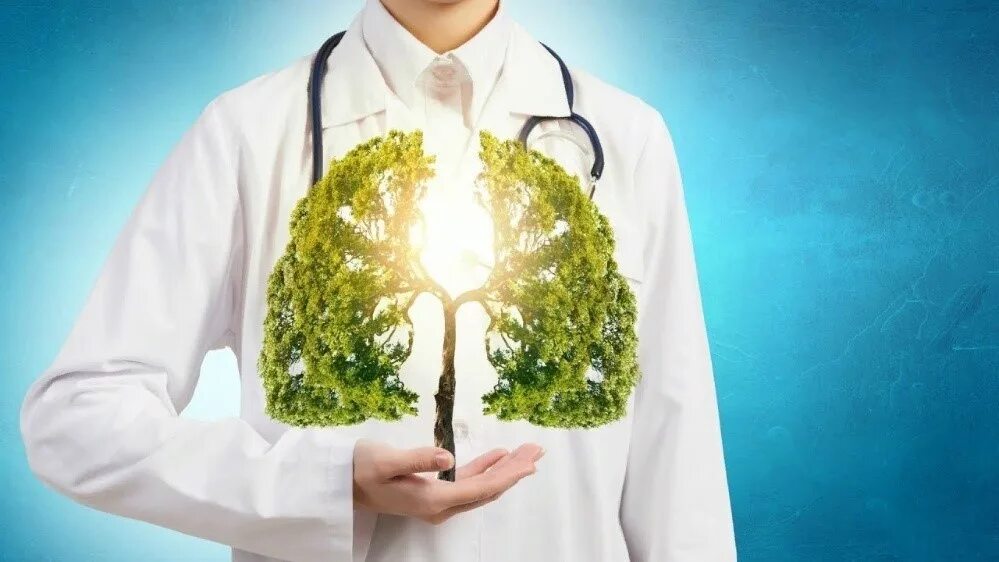 Образ здорового образа жизни. Руководство по профилактике и оздоровления организма. Профилактика заболеваний. Караваев виталий васильевич книги. Профилактика оздоровления организма.