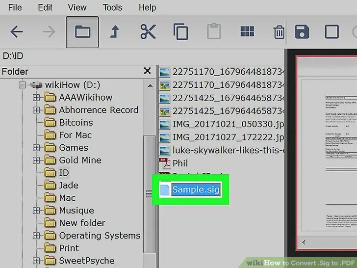 Какой программой открыть файл sig. Формат sig. Пдф сиг что это. Формат файла sig. Что такое Формат сиг пдф.