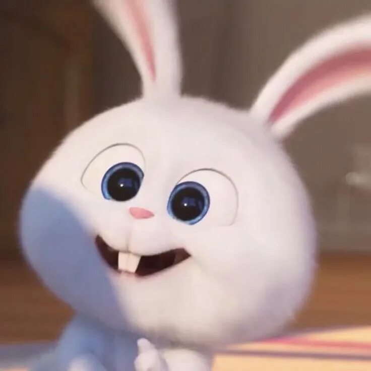 Pin on Cute bunny cartoon Cute bunny cartoon, Cute disney wallpaper, Cartoon bun