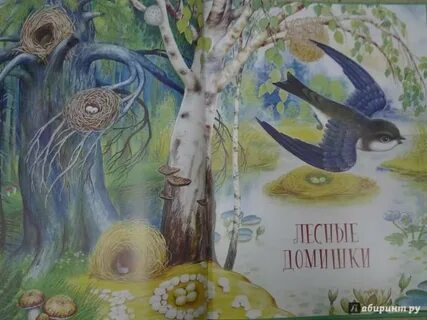 В бианки лесные домишки