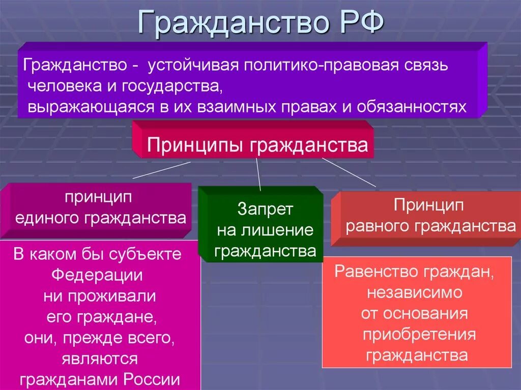 Гражданство это политико правовая связь. Гражданство это политико правовая связь человека с государством. О гражданстве РФ. Взаимосвязь государства и личности. Назовите принципы российского гражданства