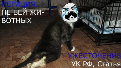 Петиция против живодеров