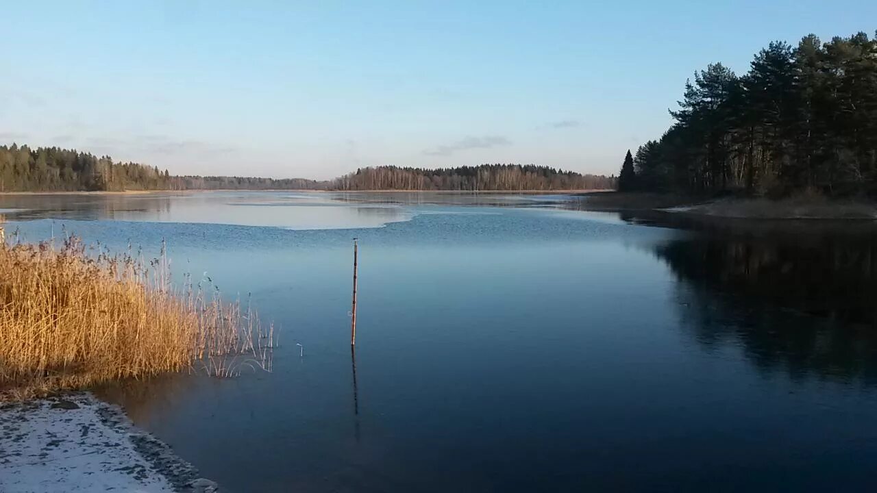 Купить озеро тверская область. Озеро спасоклинское Тверская. Кобылинское озеро Тверская область. Петровские озера Тверская область. Боровское озеро Тверская область дом отдыха.