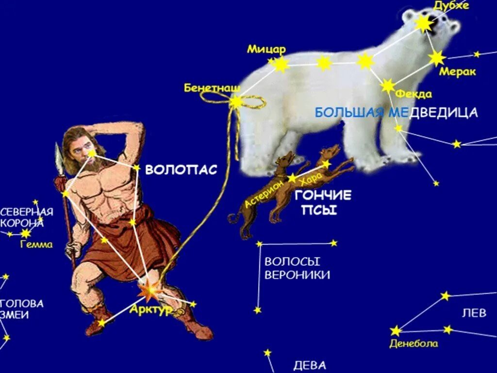 Созвездие весеннего неба дева. Волопас гончие псы большая Медведица. Созвездие Волопаса и большой медведицы. Созвездие Волопас и большая Медведица. Созвездия Волопас и Лев.