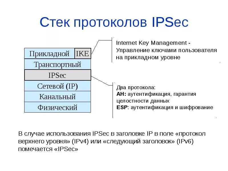 Из чего состоит стек