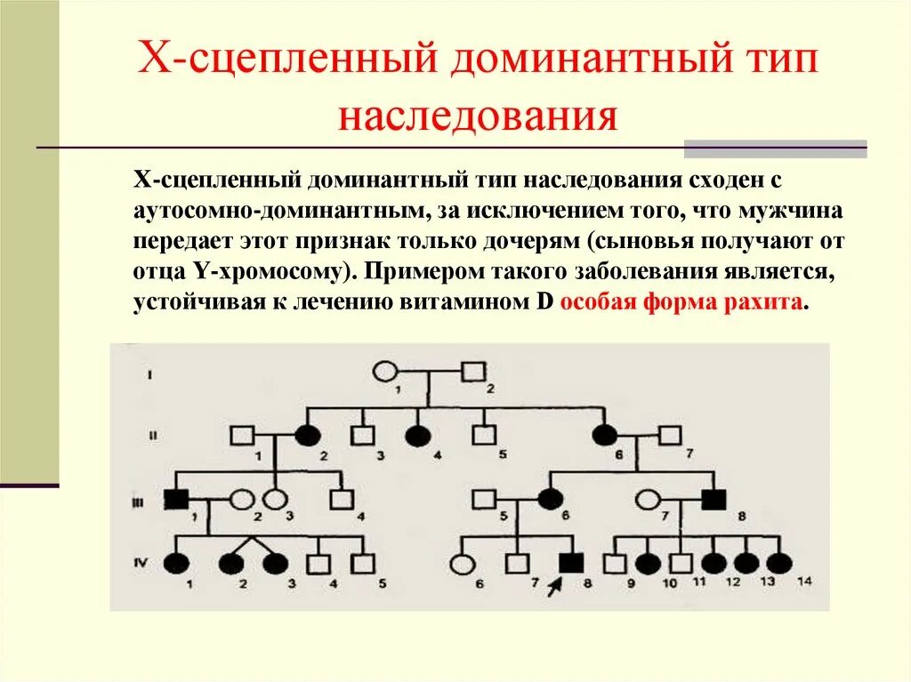 Признаки доминантного муж. Х сцепленный доминантный Тип наследования. Х-сцепленный доминантный Тип наследования характеризуется. Родословная с х-сцепленным доминантным типом наследования. Родословная аутосомно-доминатноенаследование.