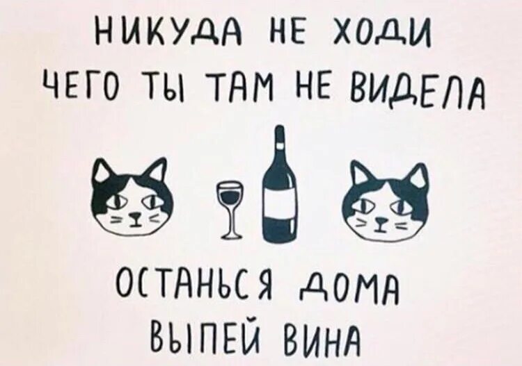 Никуда не вставать. Никуда не ходи. Никуда не ходи чего ты там не видела останься дома выпей вина. Доброе утро выпей вина и жизнь наладится. Вот выпей вина картинка.