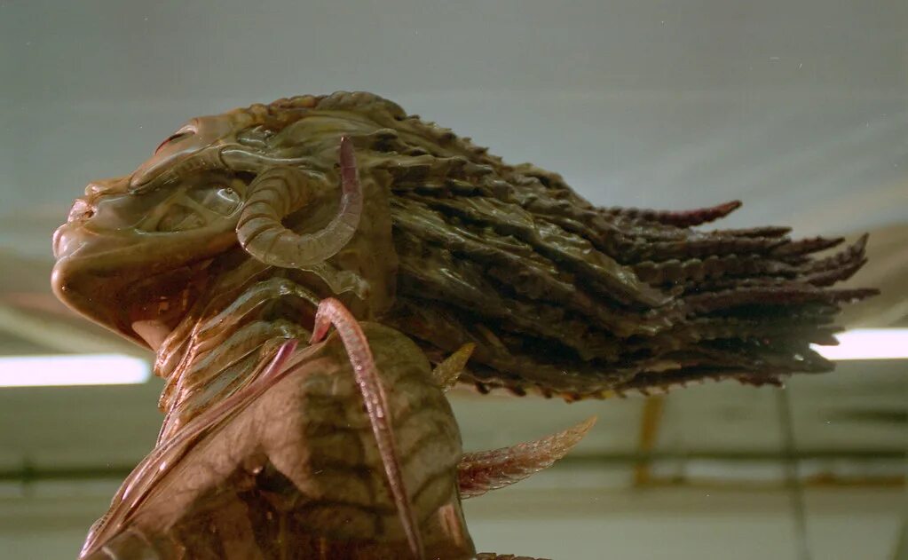 Особь значение. Гигера для фильма особь species (1995).