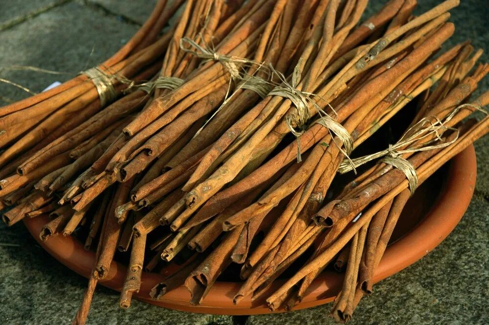Cinnamon barks drying Health healthy, Indonesian cuisine, Health options