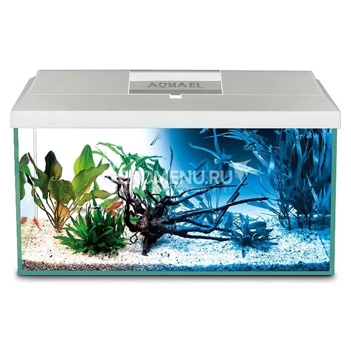 Aquael leddy day&night. Leddy day night. Аквариум aquael leddy set day & night 75. Аквариум aquael leddy xl 60. Leddy day night.