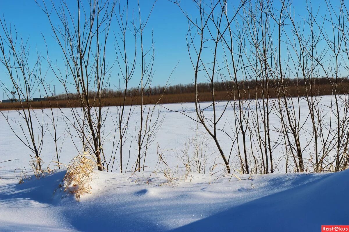 Стоял конец зимы. Весенняя природа. Ранняя весна. Конец зимы. Ранняя весна природа.