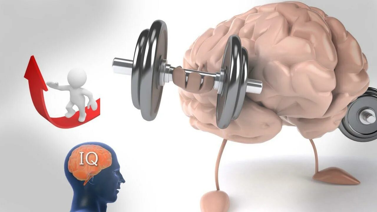 Для умственной активности и памяти. Тренировка мозга. Тренажер для мозга. Тренируем мозг. Умственная и физическая нагрузка.