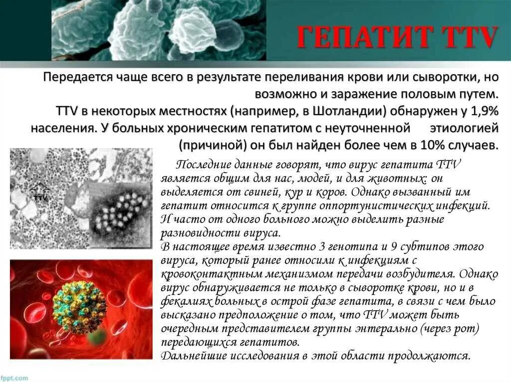 Заболевания крови передающиеся по наследству. Вирусные гепатиты. Гепатит вирусное заболевание. Вирус гепатита с заболевание. Вирус гепатита в.