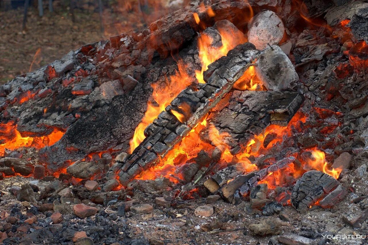 Тепло от костра передается людям. Угли от костра. Тлеющие угли костра. Костровище угли.