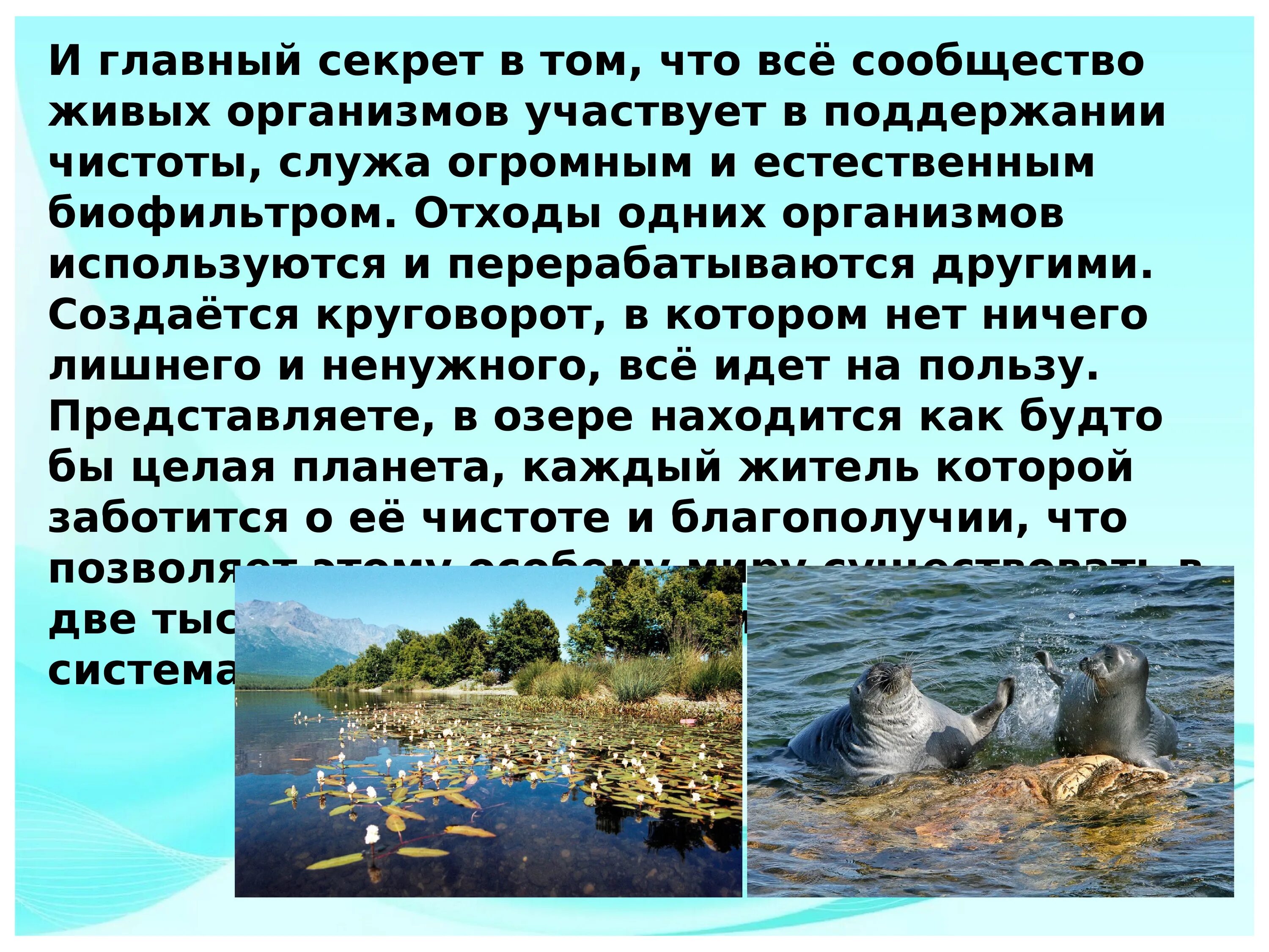 Озеро байкал 3 класс окружающий. Резентация "озеро Байкал". Байкал информация. Озеро Байкал доклад. Презентация Байкал 3 класс окружающий мир.