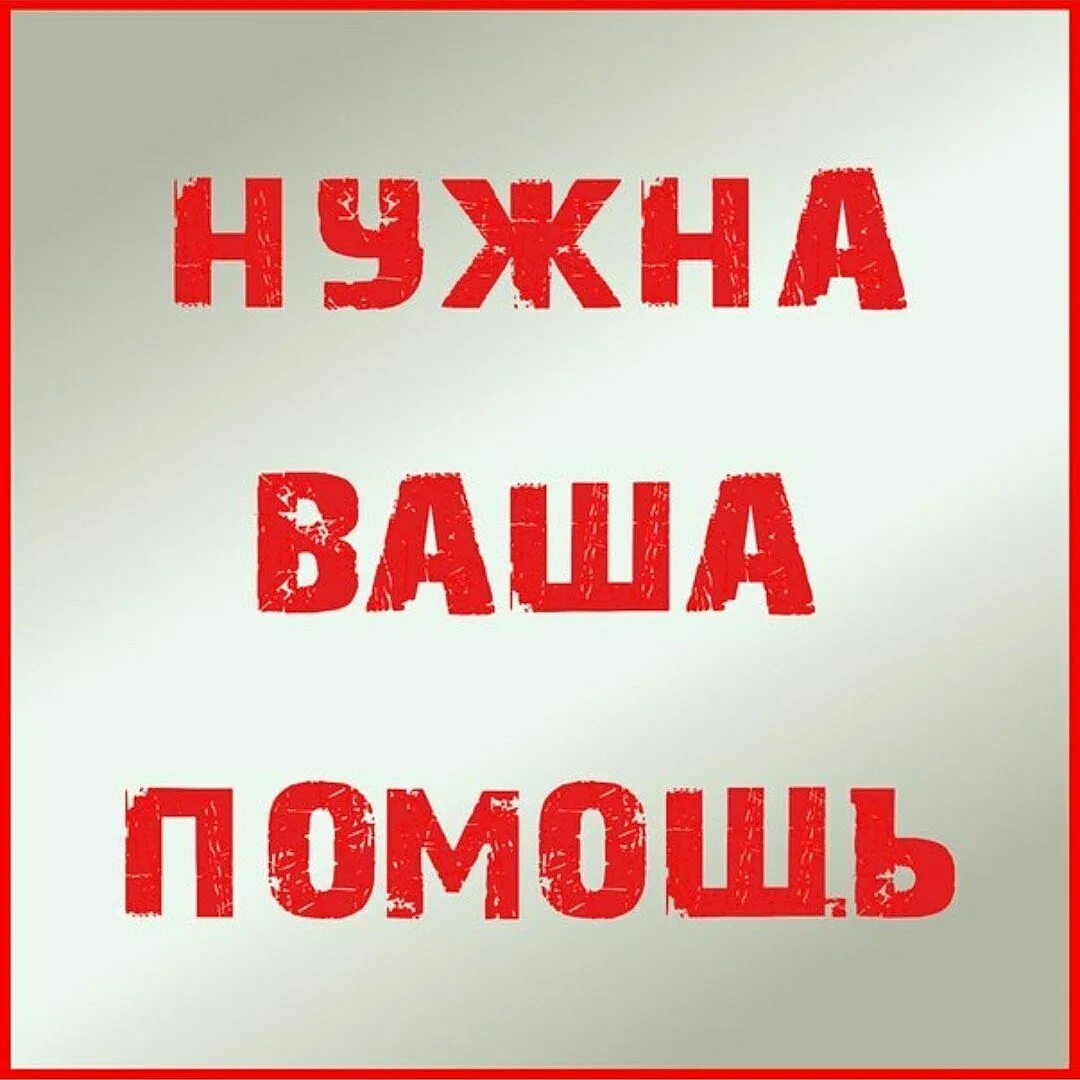 Ищу помощь. Нужна помощь. нужна ваша помощь. нужна помощь картинка. очень нужна ваша помощь.
