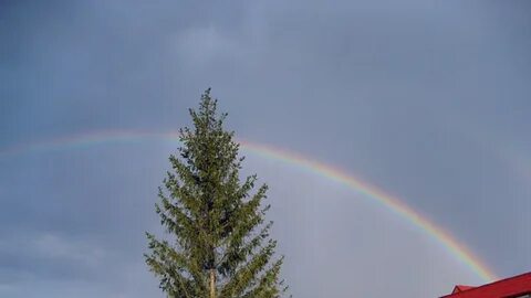 Лицей интернат кораллово