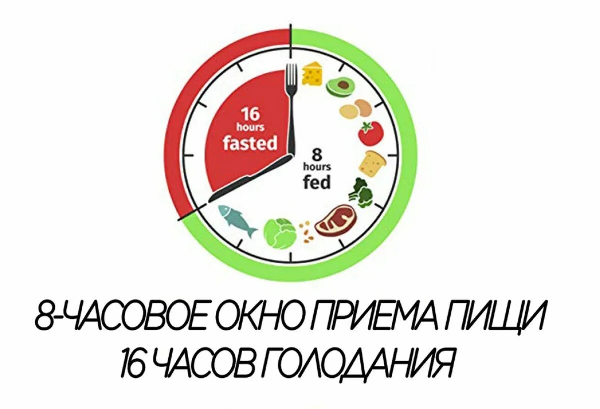 Интервальное голодание 16/8 схема. Интервальное голодание 16/8 схема для начинающих по часам. Схема голодание интервальное голодание 16/8. Интервальное голодание 16/8 схема для начинающих.