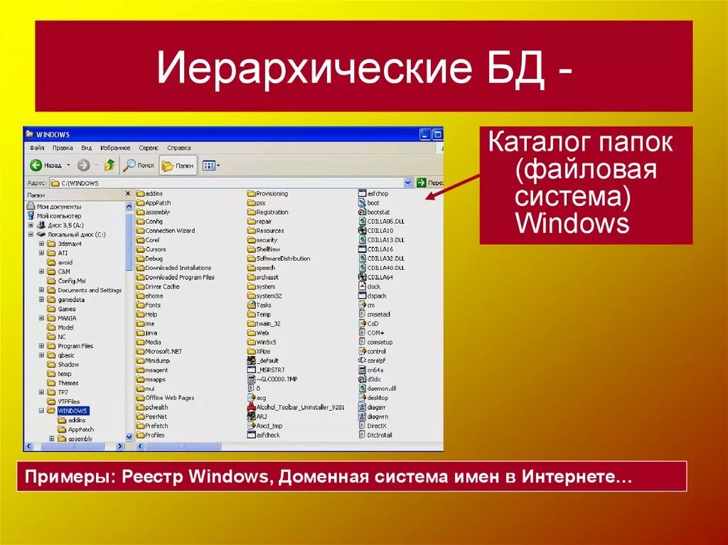 Каталог базы данных. Файловые базы данных. База данных файловая система. Файловая БД.