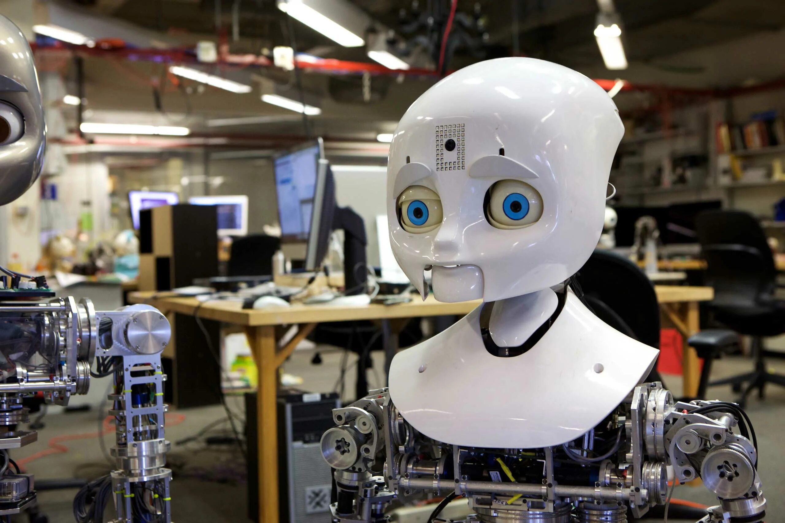 Robots закрыть