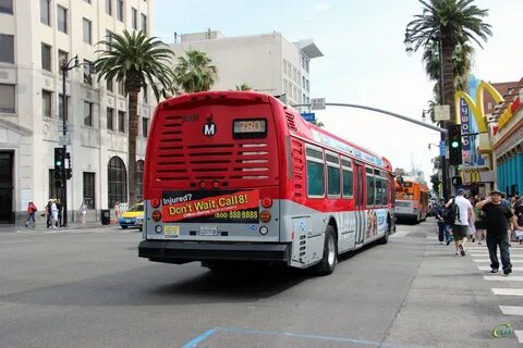 Bus los