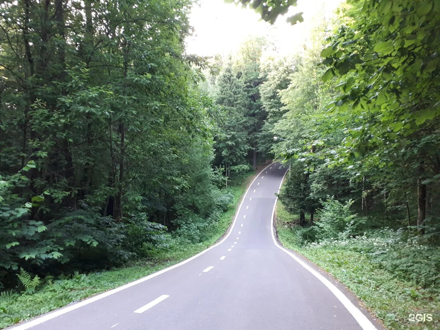 спортивный парк отдыха ларисы лазутиной. парк имени ларисы лазутиной одинцово. спортивный парк ларисы лазутиной. спортивный парк ларисы лазутиной в одинцово. парк ирины лазутиной одинцово.