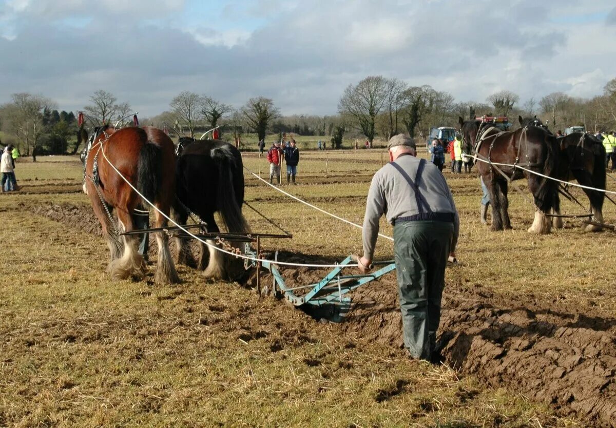 Пашет. Пашня плугом. Трактор с плугом. Лошадь пашет. Пахота на лошади.