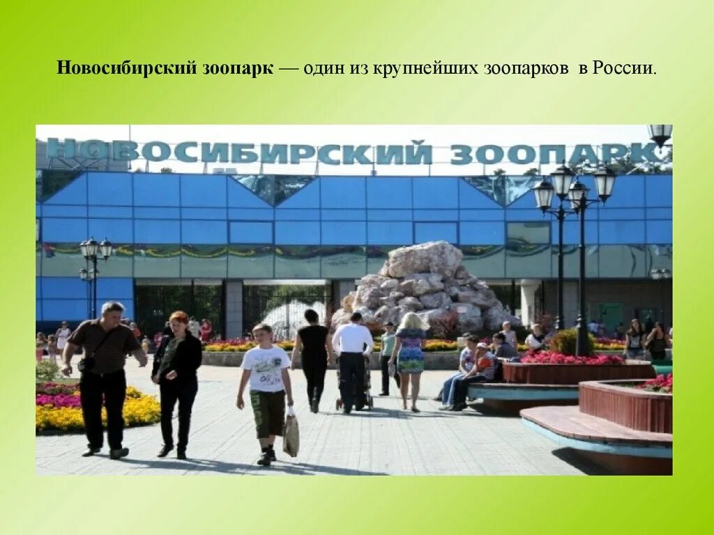 Зоопарк сообщение 2 класс. Новосибирский зоопарк. зоопарк презентация. новосибирский зоопарк презентация. проект зоопарка.