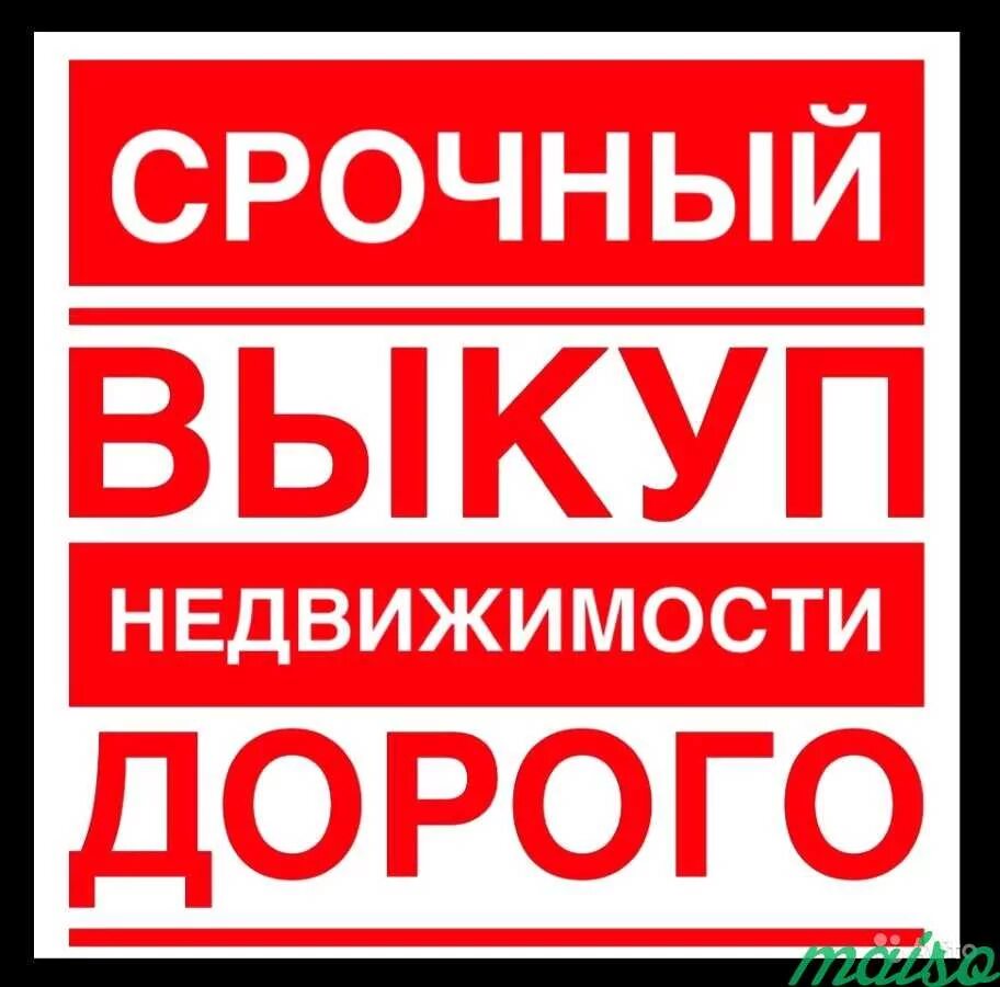 Срочный выкуп недвижимости. Срочный выкупмквартир. Скупка недвижимости. Срочный выкуп квартир картинки. Срочно куплю квартиру объявление