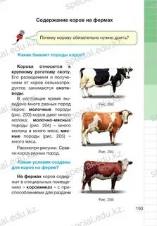 Главная мысль рассказа корова