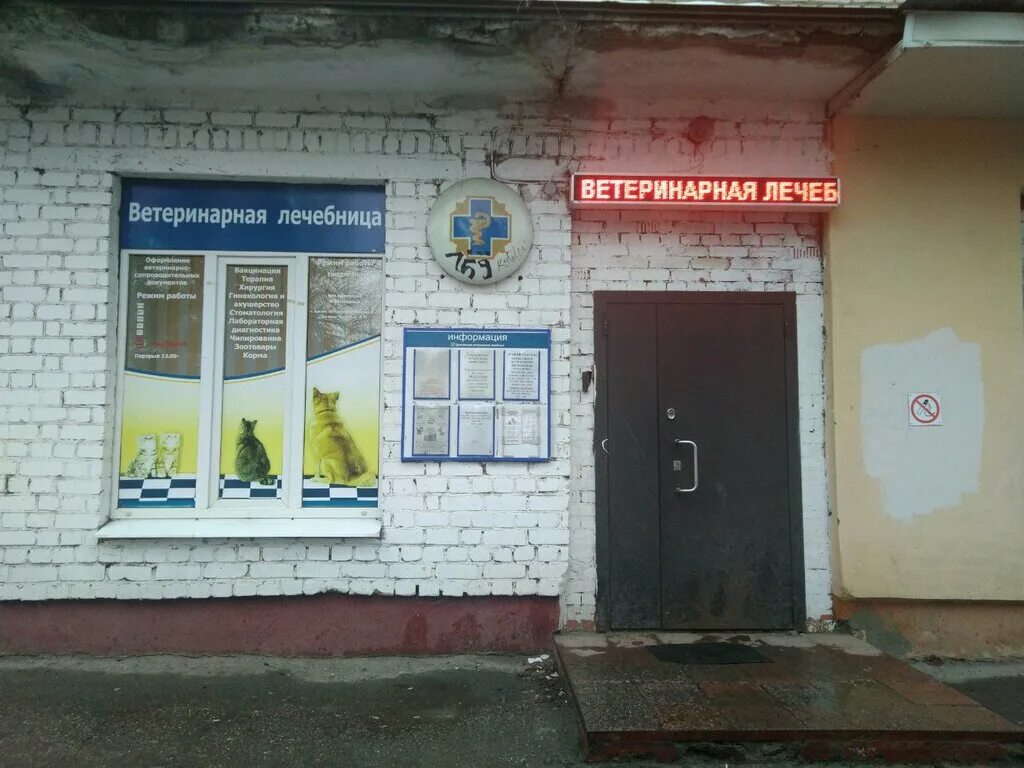 Ветлечебница елец. Выставочная 15/1 новосибирск ветеринарная клиника. Ветеринарная клиника елец лучок. Ветеринарная клиника проспекте станке димитрова. Ветеринарная клиника елец.