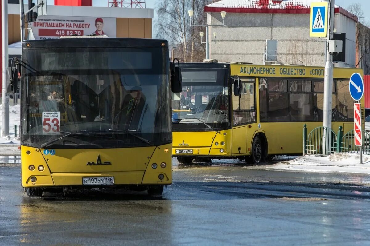 Общественный транспорт сургут новости. Автобусы Сургут. Маршрутный автобус. Новые автобусы в Сургуте. Автобус горожанин.