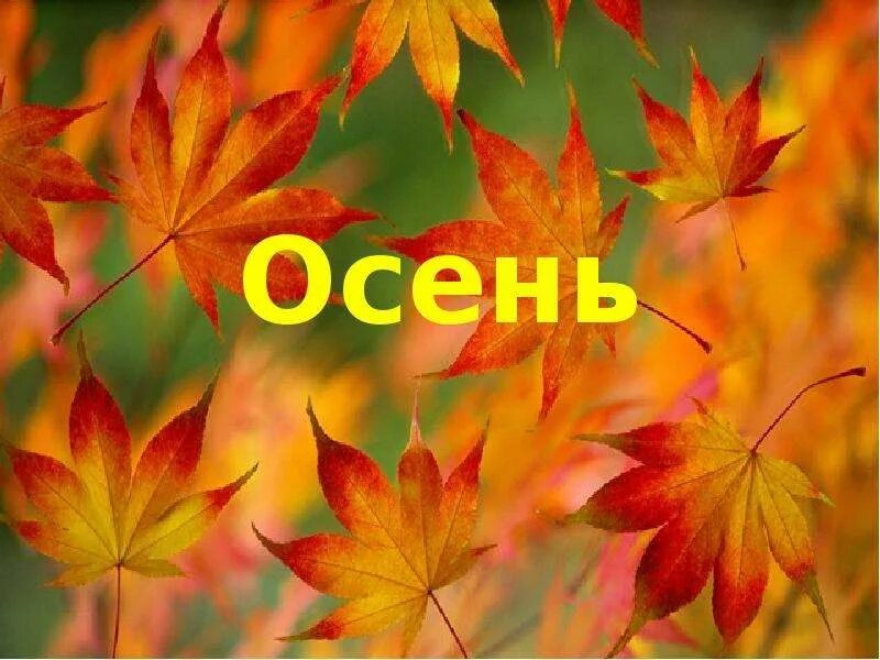 Наступил сентябрь наступила осень. Стихи про сентябрь. Осень наступила. Осень наступила высохли цветы. Стих осень наступила.