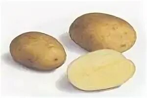 Шершавая кожура картофеля