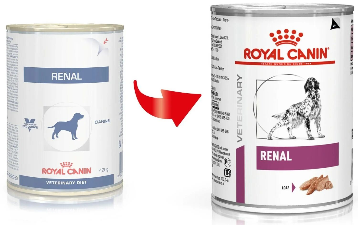 Royal canin renal для кошек купить. Роял Канин Ренал. Роял Канин Ренал для кошек сухой. Орли Ренал Роял Канин. Роял Канин Ренал с говядиной.